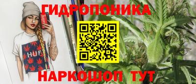 СК Камышлов