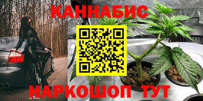 СК Камышлов