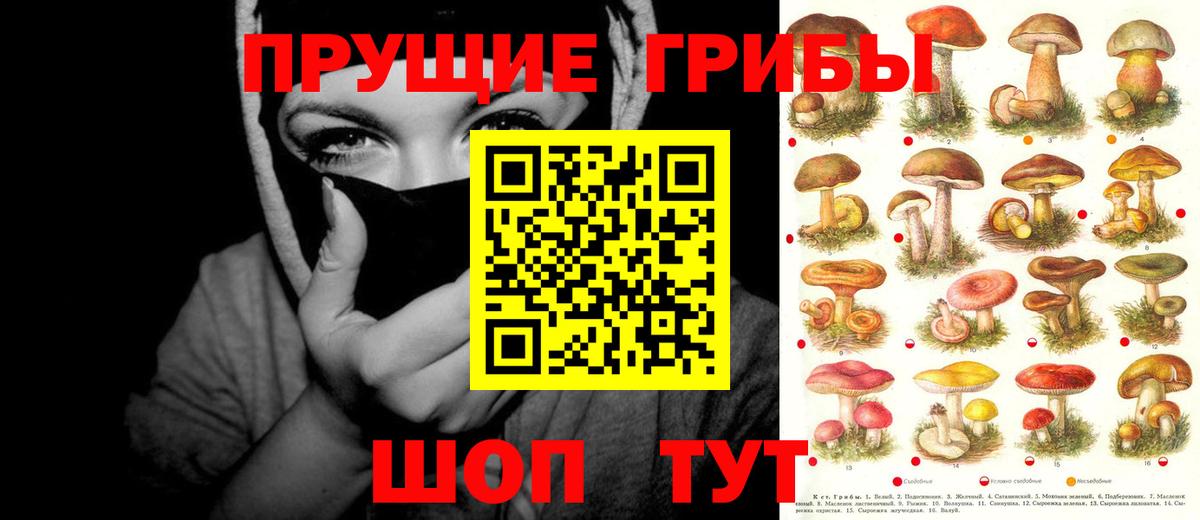 Лесозаводск  Галлюциногенные грибы Psilocybe  Вход с VPN 