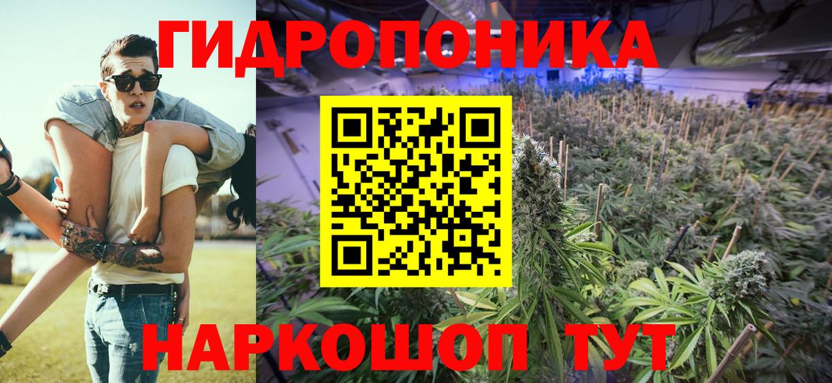 Шишки марихуана сатива Лесозаводск